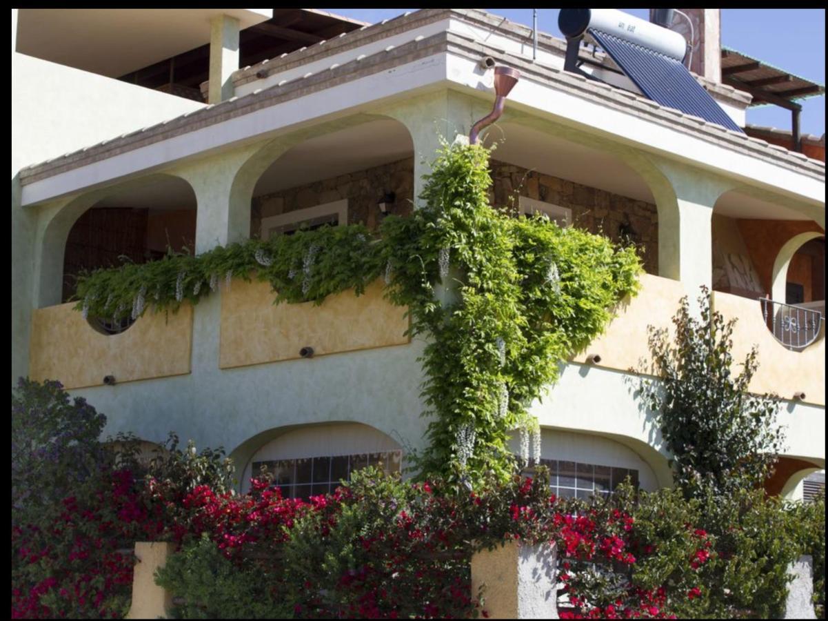 Apartment Il Glicine *